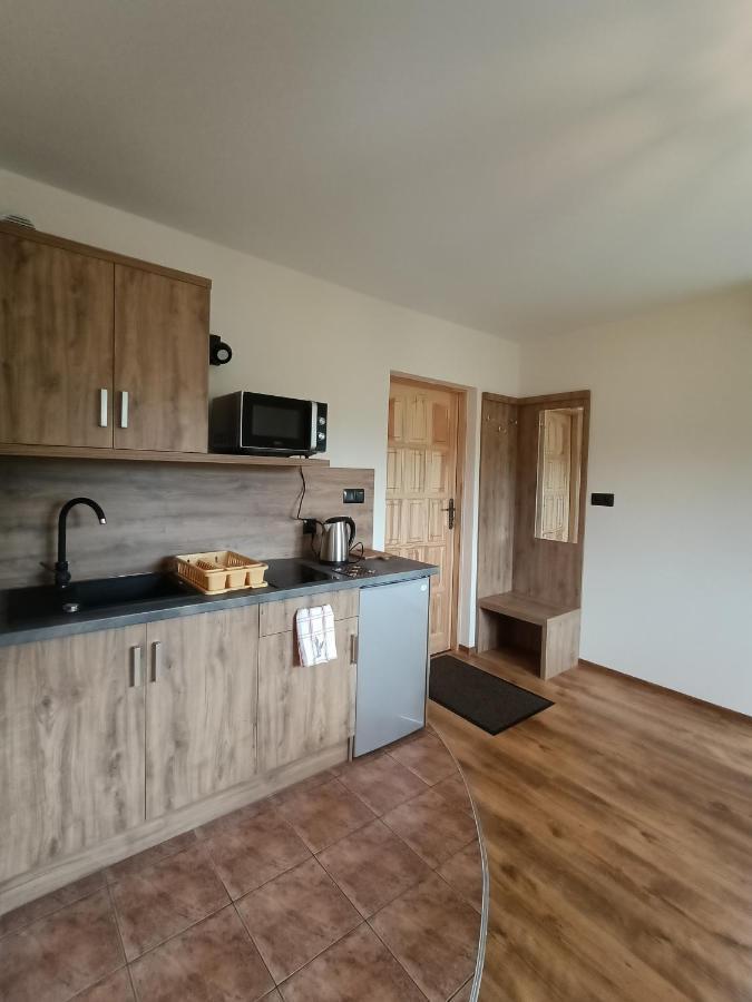 Appartamento Wynajem U Patryka Poronin Esterno foto