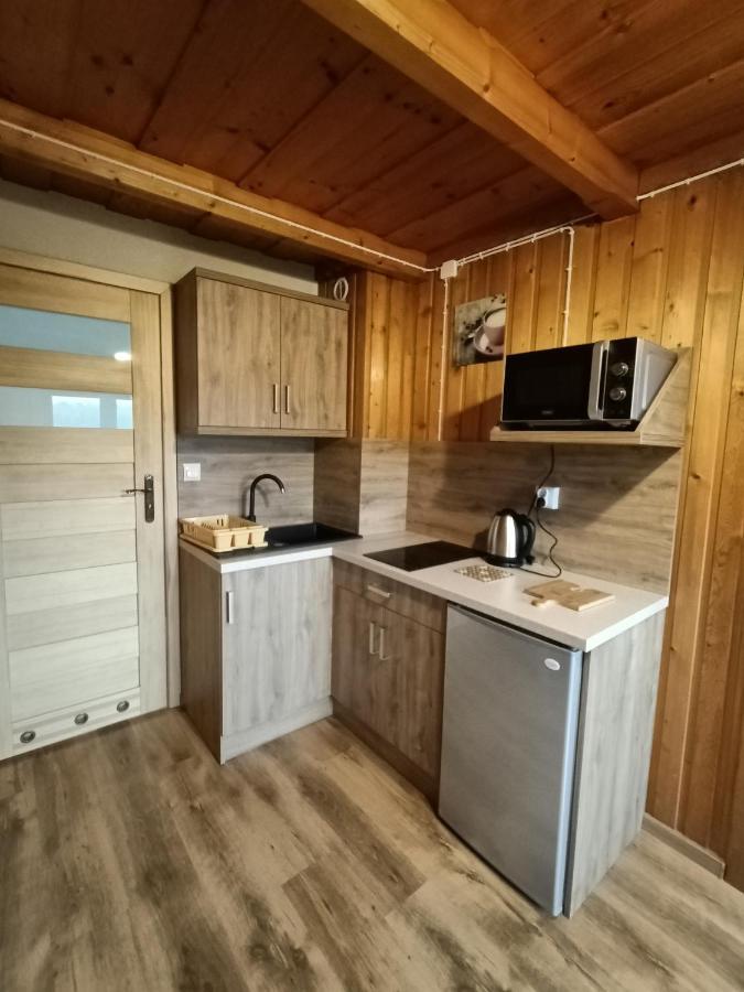 Appartamento Wynajem U Patryka Poronin Esterno foto